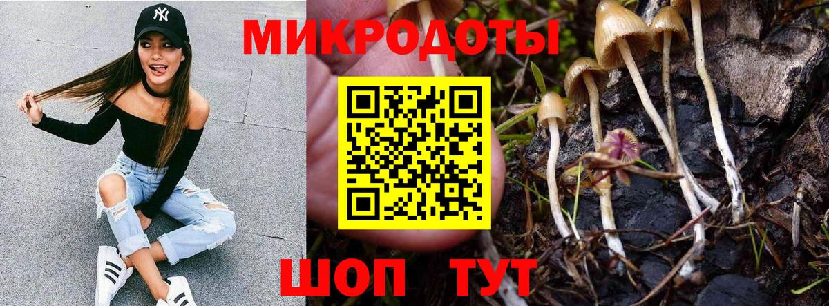 Псилоцибиновые грибы прущие грибы  Псилоцибиновые грибы GOLDEN TEACHER  Вход с VPN  Богородск 